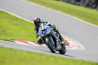 Oulton-Park-21st-March-2020;PJ-Motorsport-Photography-2020;anglesey;brands-hatch;cadwell-park;croft;donington-park;enduro-digital-images;event-digital-images;eventdigitalimages;mallory;no-limits;oulton-park;peter-wileman-photography;racing-digital-images;silverstone;snetterton;trackday-digital-images;trackday-photos;vmcc-banbury-run;welsh-2-day-enduro